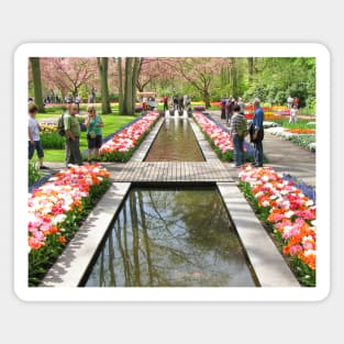 Keukenhof Tulip Festival, Holland Magnet